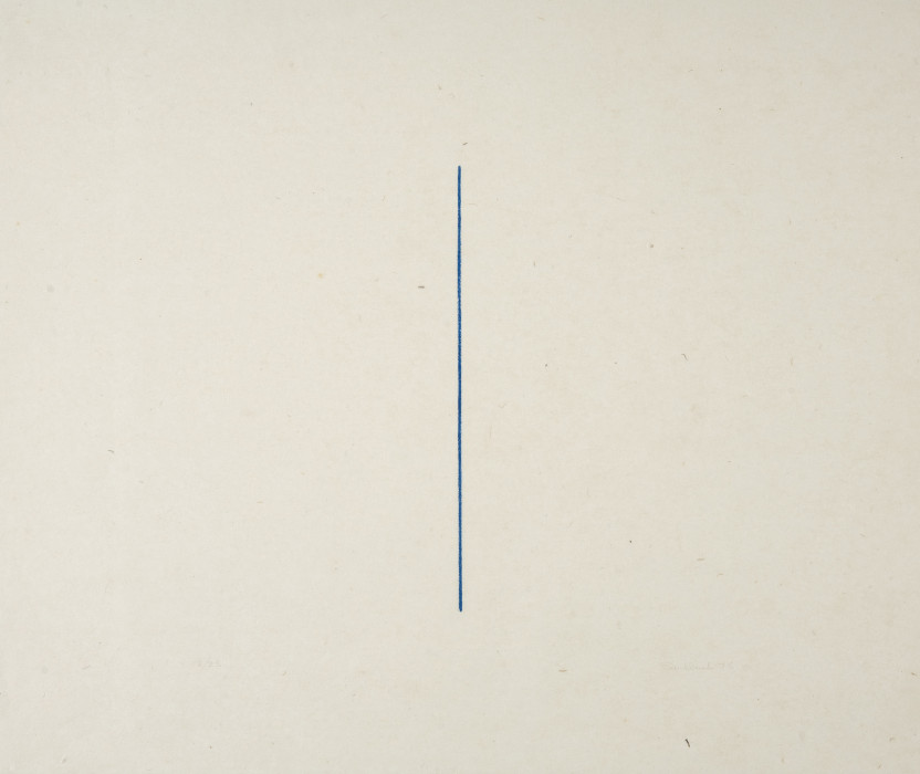 A vertical, blue line is centrally placed on a rectangular, gray background.