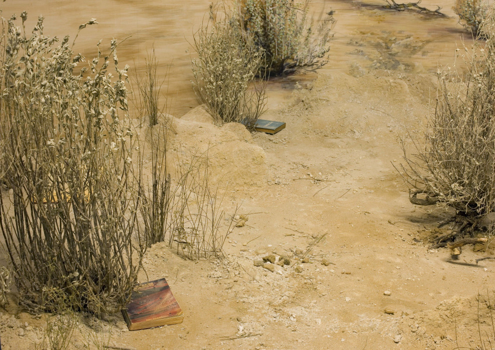 A close-up of a desert diorama with sand, shrubs, and two books placed underneath the shrubs.