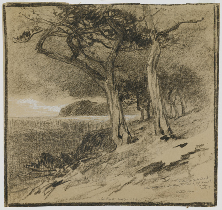 Smillie, Coastal View, 1881