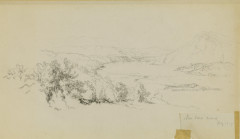 A pencil sketch of a wide expanse of foliage with a mountain range in the background. Afixed to the drawing with tape is a label reading 