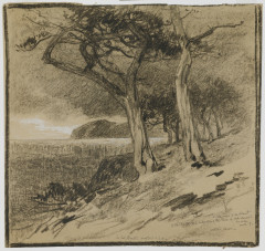 A charcoal and chalk sketch of trees along a coast.