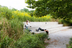 Three people lie across a set of concrete stairs built into an overgrown hill. Two of the people lie upside down.