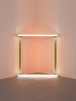 Four florescent lightbulbs, two white and two yellow, configured into a square and situated in a corner, casting a peach wash of light.