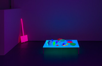 A long horizontal fluorescent green slab of plywood leans against a wall to the left of a tall vertical fluorescent magenta slab of plywood. Projected over the rop right corner of the green slab of plywood is a fluorescent neon green rock form with a thin fluoresent blue worm form sitting on top of it. The room is dark and illuminated by a line of violet fluorescent lights on the ceiling.